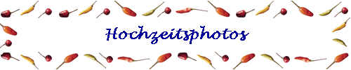 Hochzeitsphotos