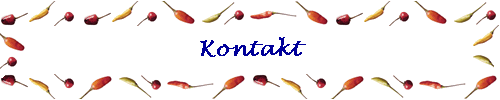 Kontakt