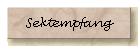 Sektempfang